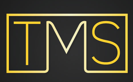 TMS Tecnologia dei Metalli e Sistemi